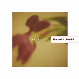 In The Mist by Harold Budd