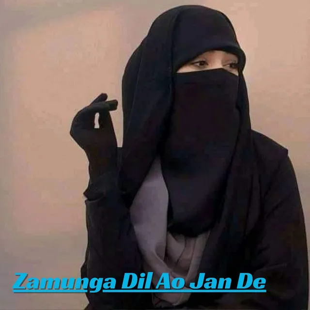 Zamunga Dil Ao Jan De