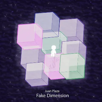 Fake Dimension by Juan Plaza