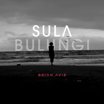 Sula Bulungi by Brian Avie