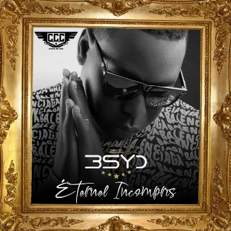 Eternel incompris by B-syd