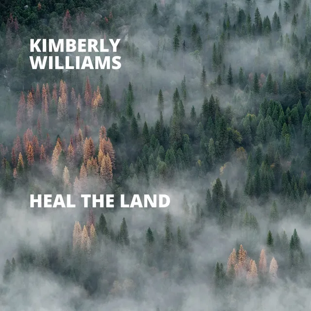 Heal the Land