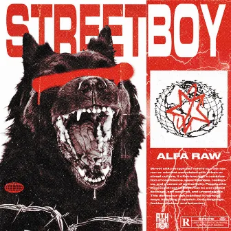 Streetboy by Alfa Raw