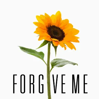 Forgive Me by Asylum