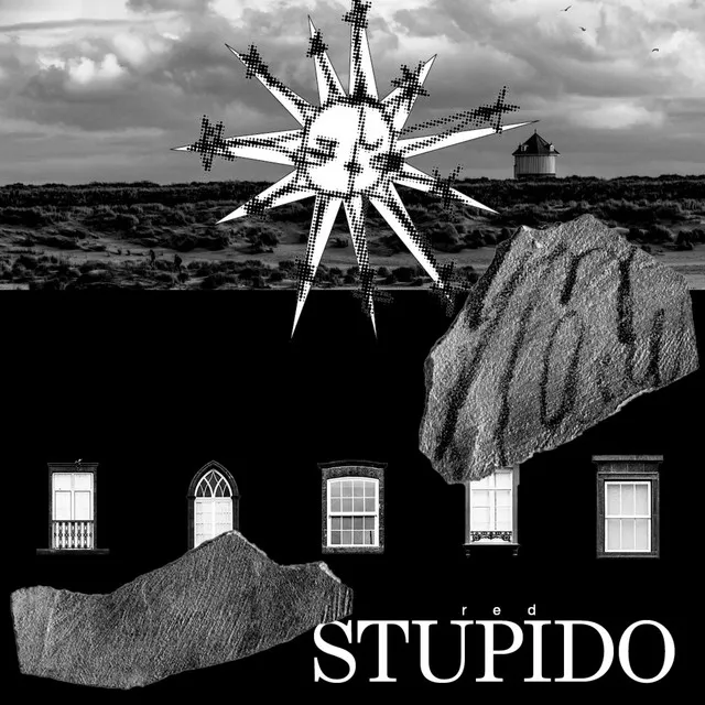 Stupido