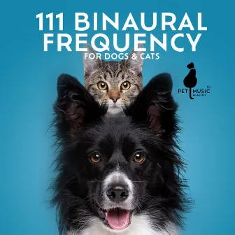 111 Binaural Frequency for Dogs & Cats by Dog Music!