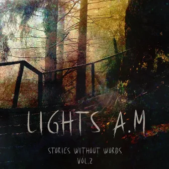 Stories Without Words Vol. 2 by Lights A.M