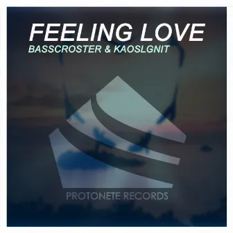 Feeling Love by Basscroster