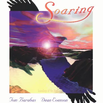 Soaring by Tom Barabas