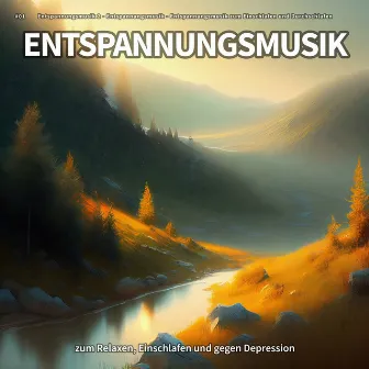 #01 Entspannungsmusik zum Relaxen, Einschlafen und gegen Depression by Entspannungsmusik zum Einschlafen und Durchschlafen