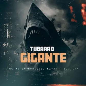 Tubarão Gigante by Mc Ri da Noroeste