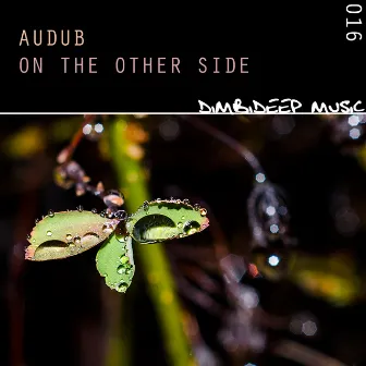 On the Other Side by Audub