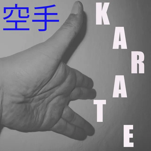 Musique pour Karaté Vol. 7