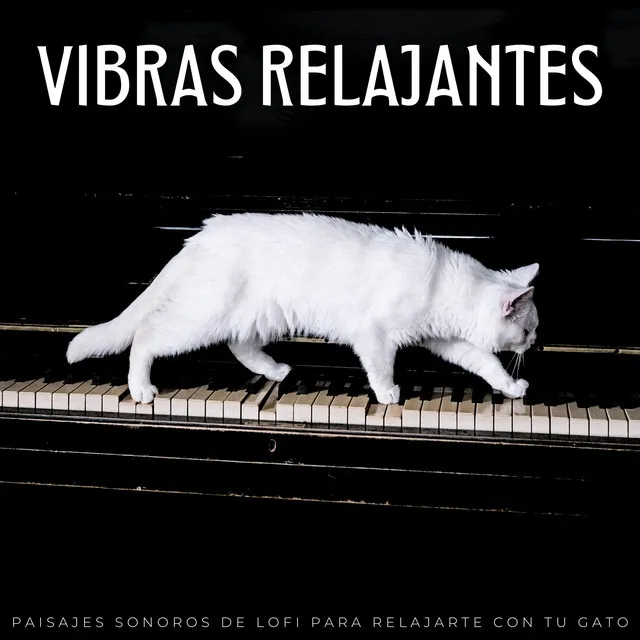 Canción De Cuna Para Gatitos