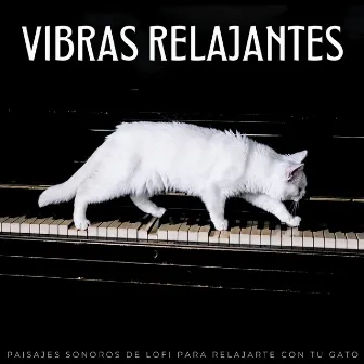 Vibras Relajantes: Paisajes Sonoros De Lofi Para Relajarte Con Tu Gato by Vibraciones lofi