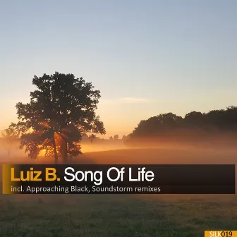 Song Of Life by Luiz B