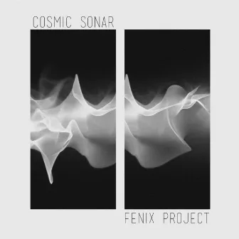 Cosmic Sonar by Fenix Project