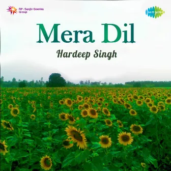 Mera Dil by Unknown Artist