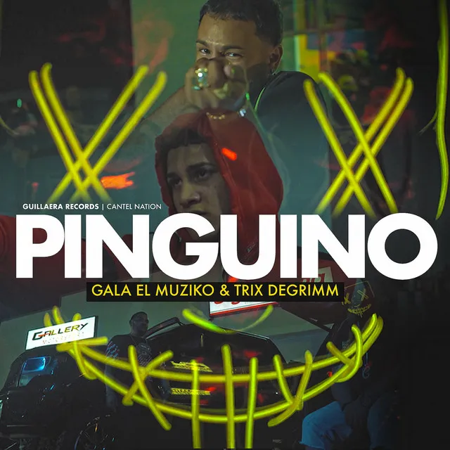 Pinguino