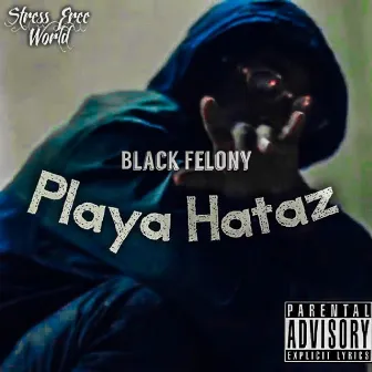 Playa Hataz by Black Felony