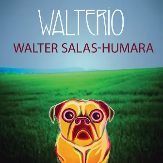 Walterio by Walter Salas-Humara