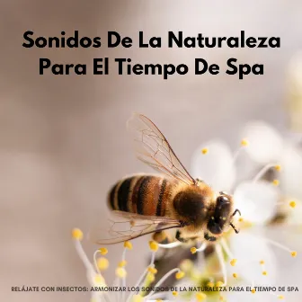 Relájate Con Insectos: Armonizar Los Sonidos De La Naturaleza Para El Tiempo De Spa by Sonidos orgánicos de la naturaleza