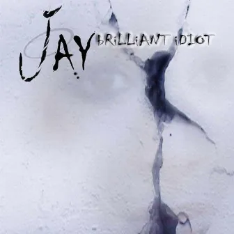 Brilliant Idiot by Jay