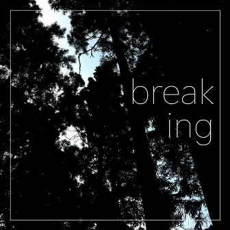 Breaking by Yeung Tung