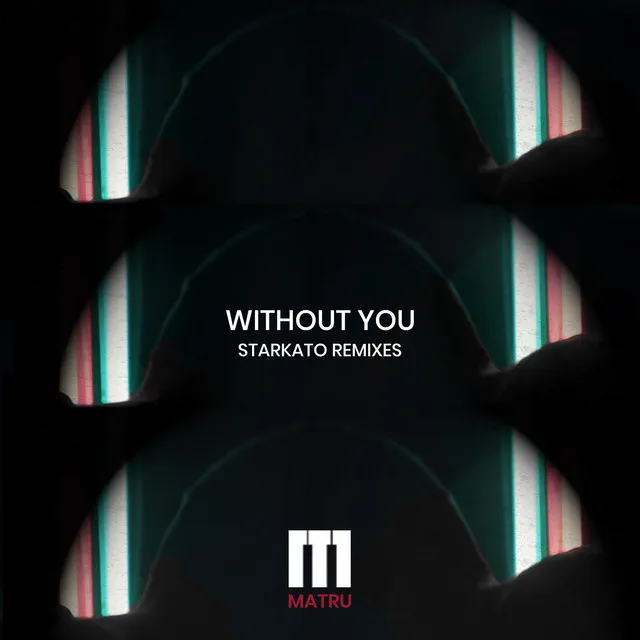 Without You (Starkato Remixes)