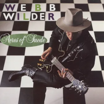 Acres of Suede by Webb Wilder