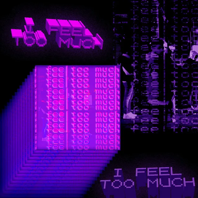 I Feel Too Much