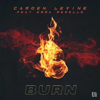 Burn by Camden Levine