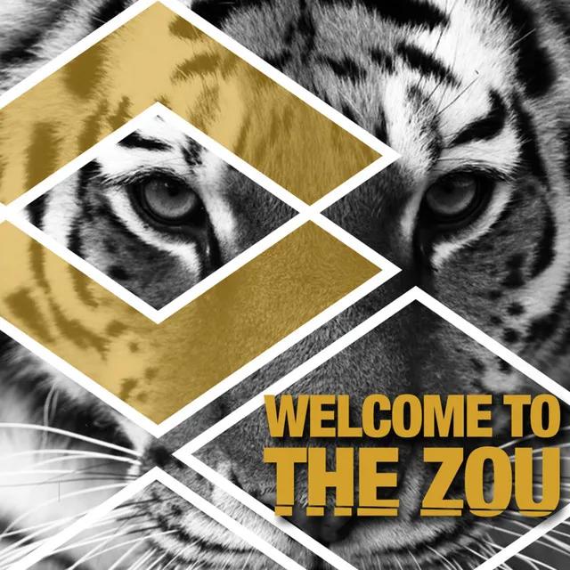 Welcome to the Zou