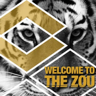 Welcome to the Zou by DJ Beatz