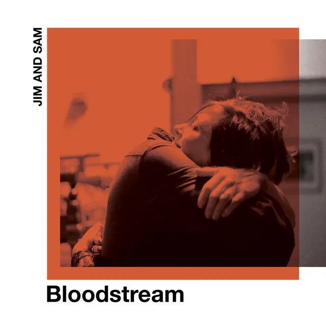 Bloodstream