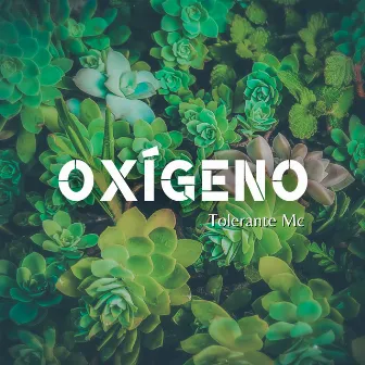 Oxígeno by Tolerante Mc