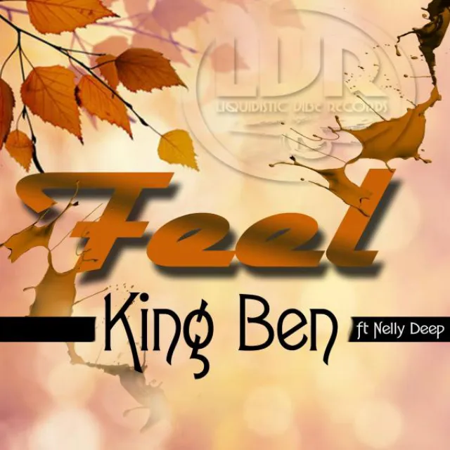 Feel (feat. Nelly Dee) - Canoe Deep Remix