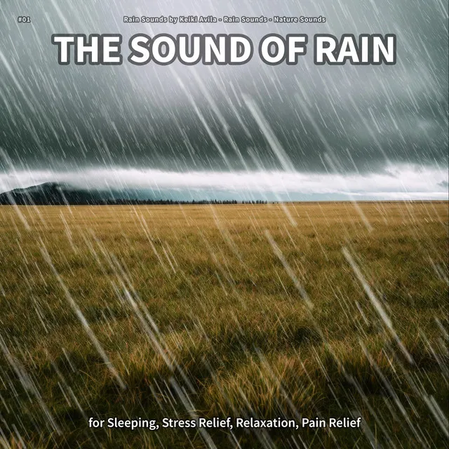 #01 The Sound of Rain for Sleeping, Stress Relief, Relaxation, Pain Relief