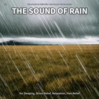 #01 The Sound of Rain for Sleeping, Stress Relief, Relaxation, Pain Relief by Rain Sounds by Keiki Avila