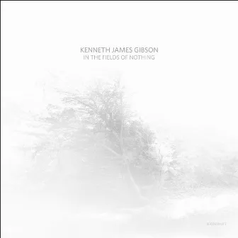 In The Fields Of Nothing by Kenneth James Gibson