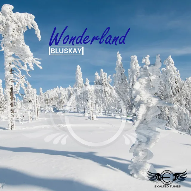 Wonderland - Amr Mohsen Remix