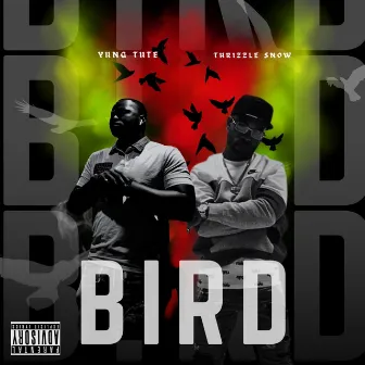 BIRD by Yung Tute