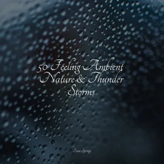 50 Feeling Ambient Nature & Thunder Storms by Heavy Rain Sounds