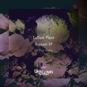 Bouquet EP by Callum Plant