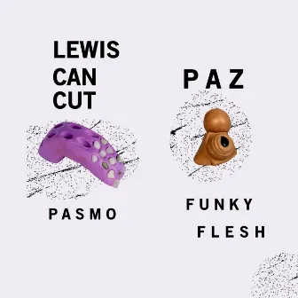 Pasmo / Funky Flesh by Paz