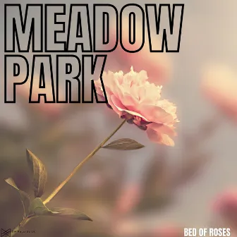 Bed Of Roses by Meadow Park