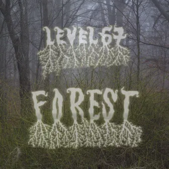 Forest by Level 67