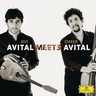 Avital Meets Avital by Omer Avital