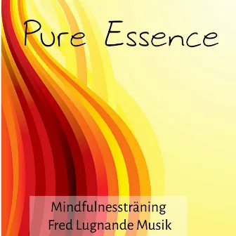 Pure Essence - Mindfulnessträning Fred Lugnande Musik för Djup Avslappning Chakra Rensning med Natur Instrumental Ljud by Relaxing Spa Sounds