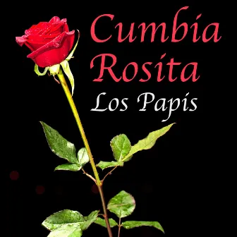 Cumbia Rosita by Los Papis